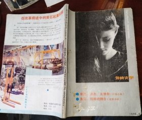 长江多种文学丛刊1986年第6期