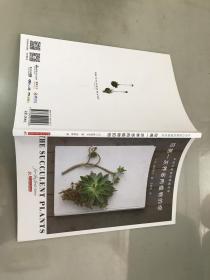 给第一次养多肉植物的你