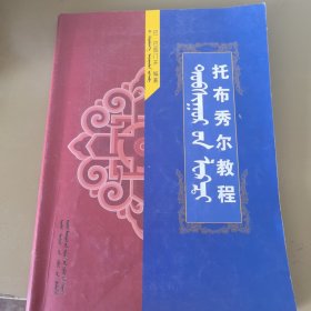 托布秀尔教程