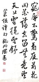 名家龙开胜书法特惠