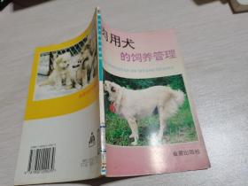 肉用犬的饲养与管理-，