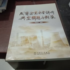 发电企业安全评价典型问题与对策