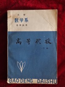 大学数学系自学丛书：高等代数（下册）