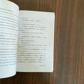 了不起的盖茨比 正版无删减英文版原版原著翻译中文全译本英汉对照 世界名著-振宇书虫（英汉对照注释版）