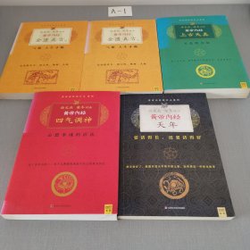 徐文兵、梁冬对话：《黄帝内经·天年》《四气调神》《上古天真》《金匮真言》黄帝内经说什么系列（全五册）