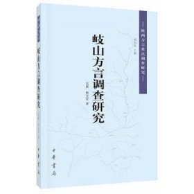 岐山方言调查研究