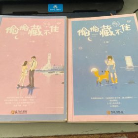 偷偷藏不住（全二册）竹已晋江金榜作品段嘉许VS桑稚