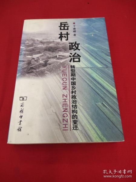 岳村政治：转型期中国乡村政治结构的变迁