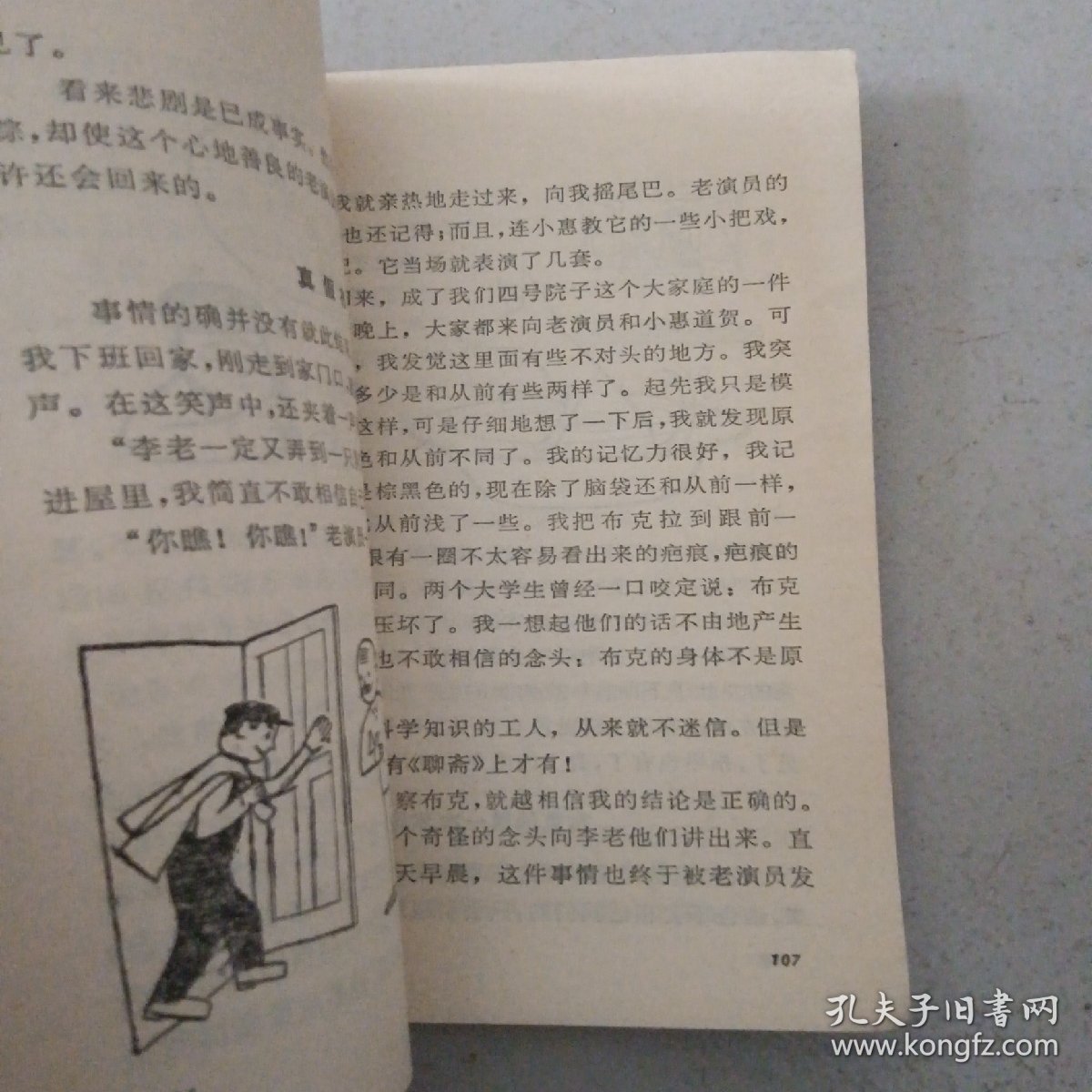 布克的奇遇