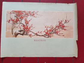 年画，1972年出版，规格520*380毫米