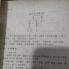 1955年印，华东土产概况13本合售，有茶叶，瓷器等重要内容