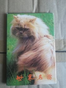 世界名猫（明信片）6张