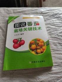 图说番茄栽培关键技术.