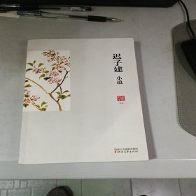 迟子建小说/名家小说典藏