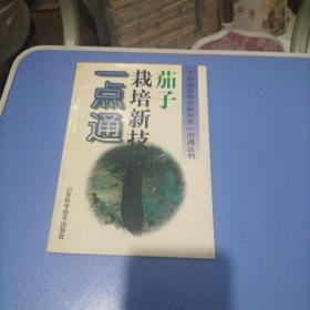 茄子栽培新技术一点通