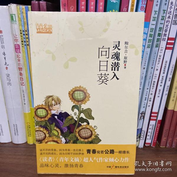 灵魂潜入向日葵
