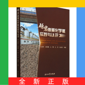 礫巖油藏化學(xué)驅(qū)實(shí)踐與認(rèn)識(shí)
