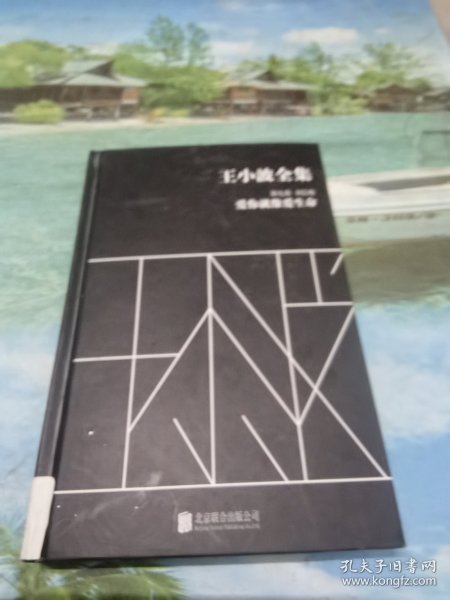 王小波全集（第九卷 书信集）：爱你就像爱生命