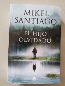 EL HIJO OLVIDADO 西班牙语原版 18开厚册 2024年新出版