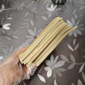 电脑骑士上下8册全