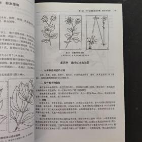 北京地区高等植物野外实习教程/国家林业局普通高等教育“十三五”规划教材