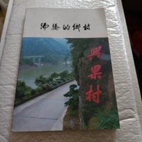 沸腾的乡村兴果村