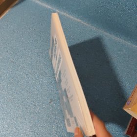 商事案件典型问题审判指引 全新.