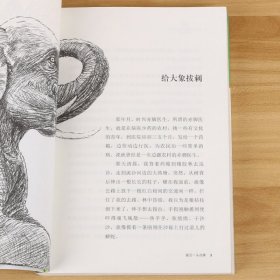 沈石溪动物小说共10册