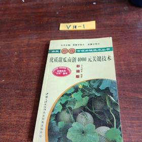優(yōu)質(zhì)甜瓜畝創(chuàng)4000元關(guān)鍵技術(shù)