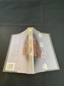 中国文化史探秘丛书(第二辑)-西汉亡魂