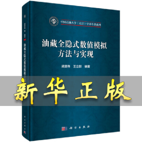 油藏全隐式数值模拟方法与实现 梁景伟,王立群 9787030655417 科学出版社