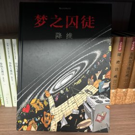 梦之囚徒：降维