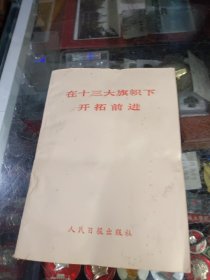 在十三大旗帜下开拓前进