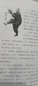 傅氏形意拳（作者签名印章版）