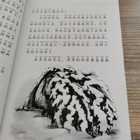 语文新课标·小学生阅读经典·森林报·冬