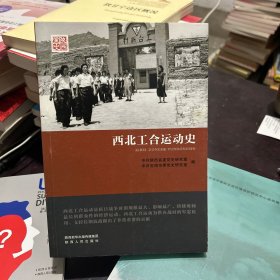 西北工合运动史