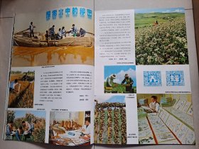 1983年 宁夏画报 创刊号