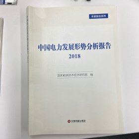 中国电力发展形势分析报告2018