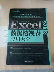 Excel 2013数据透视表应用大全