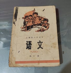 云南省小学课本 语文第十册