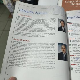 ECONOMICS PRINCIPLES AND TOOLS 经济学原理和工具，包邮