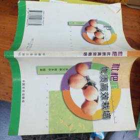 枇杷優(yōu)質(zhì)高效栽培