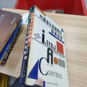 内部会计控制规范实施指南第三卷