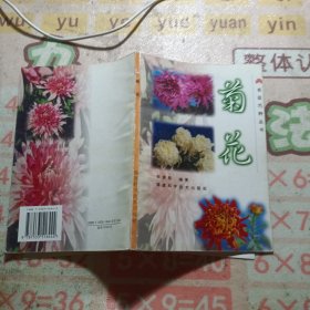名花巧种丛书：菊花