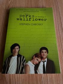 The Perks of Being a Wallflower 壁花少年 英文原版