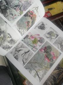 陈永锵画谱：花卉篇