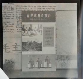 1966安徽省农业展览馆底片一张：泾县中村公社兰山大队“春夏秋蚕齐增产”展板实景（210701）