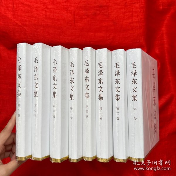 毛泽东文集