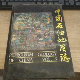 中国石油地质志     卷三