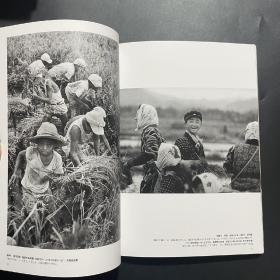 现货 昭和のこども  摄影集日本原版引进大型本